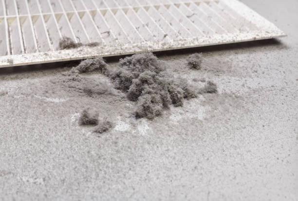 Best HVAC System Cleaning  in Seven Oaks, SC