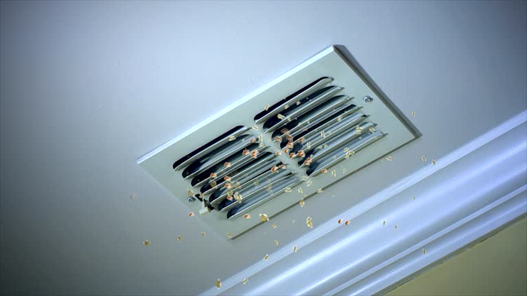 Best Local Air Duct Cleaning Services  in Seven Oaks, SC